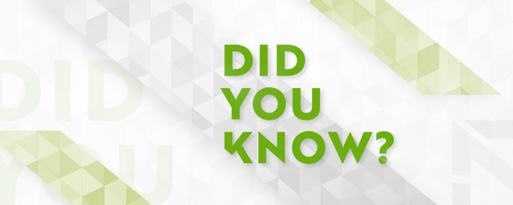 Джекпот милости богов