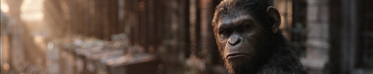 Копилка Богатства